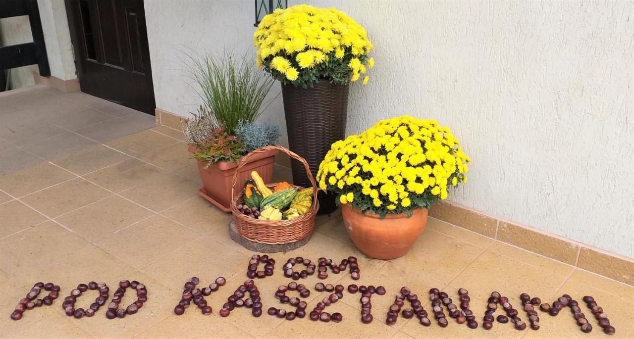 Dom Pod Kasztanami Appartement Kazimierz Dolny Buitenkant foto
